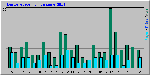 Hourly usage for January 2013